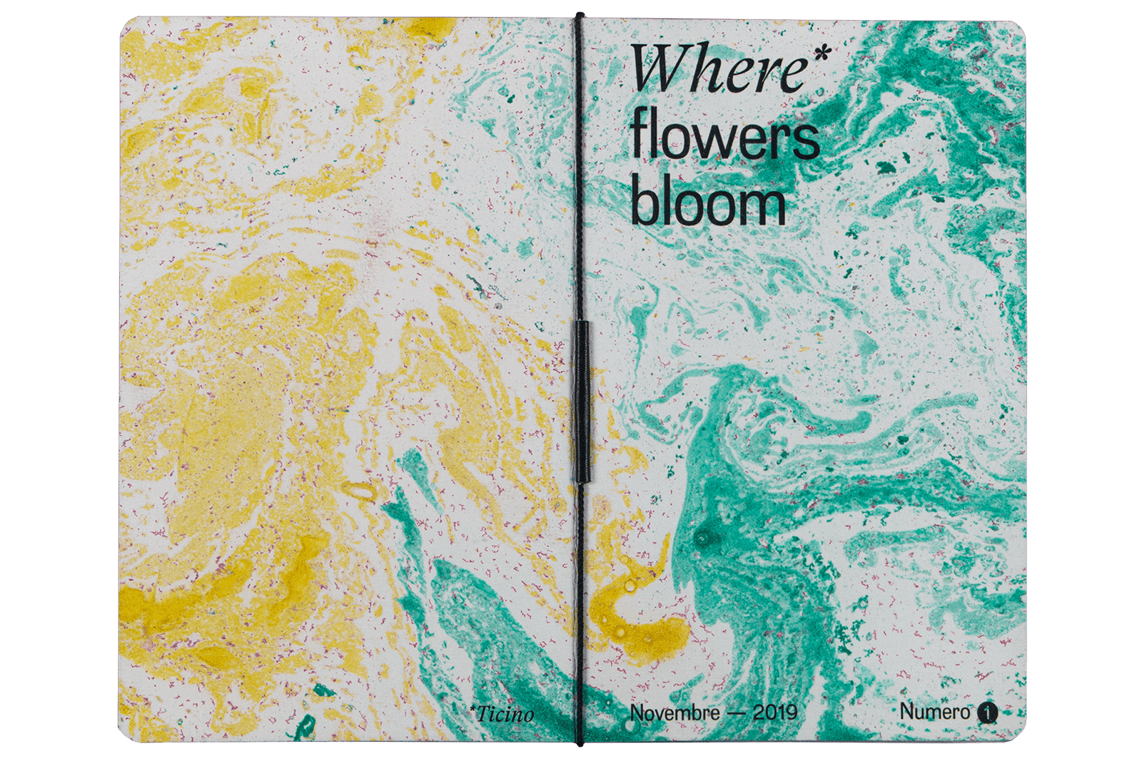 WFB magazine N.1