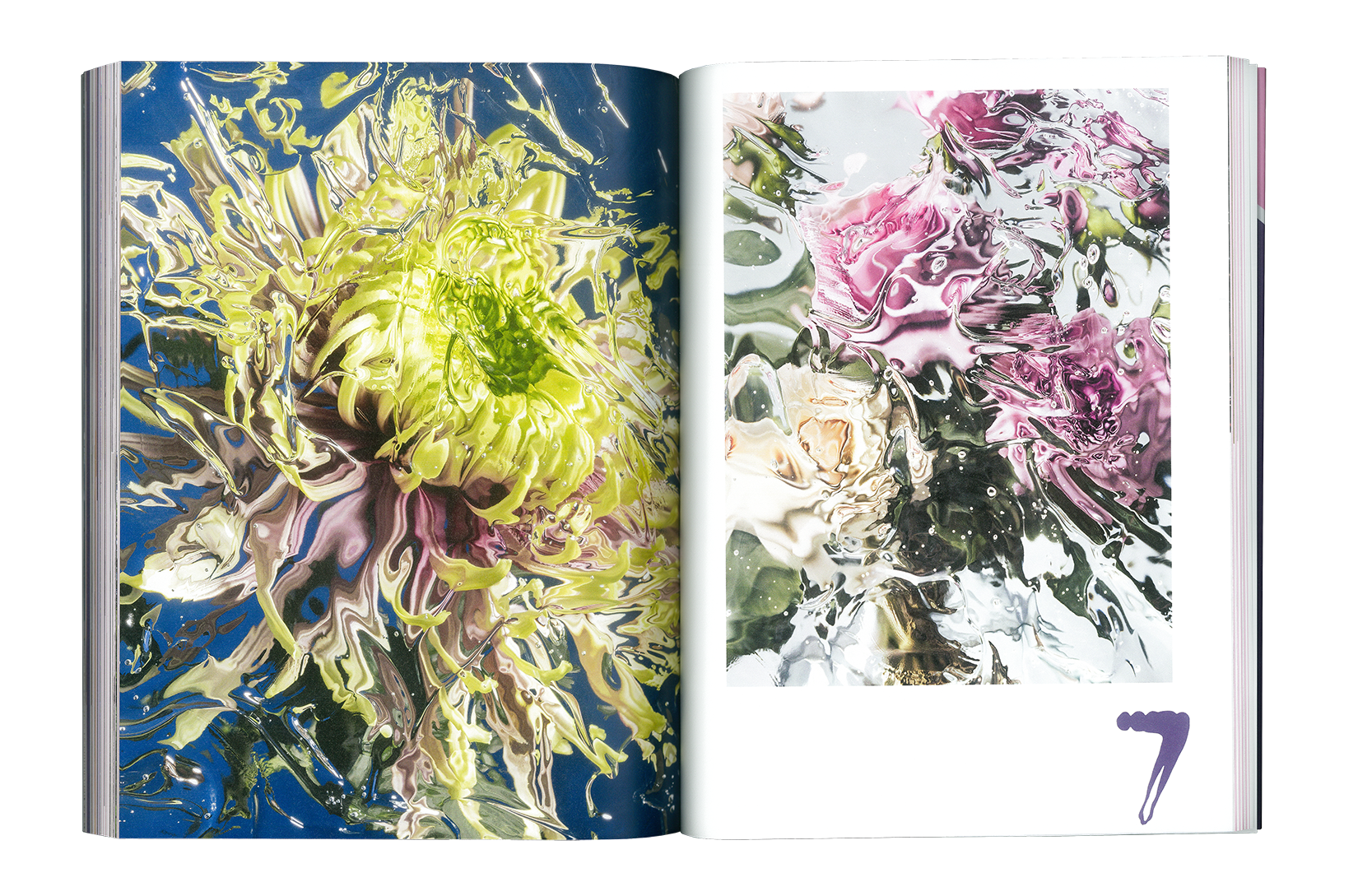 Where Flowers Bloom N.7