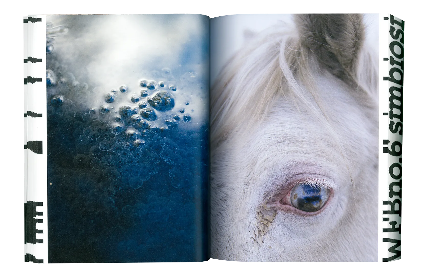WFB magazine N.6