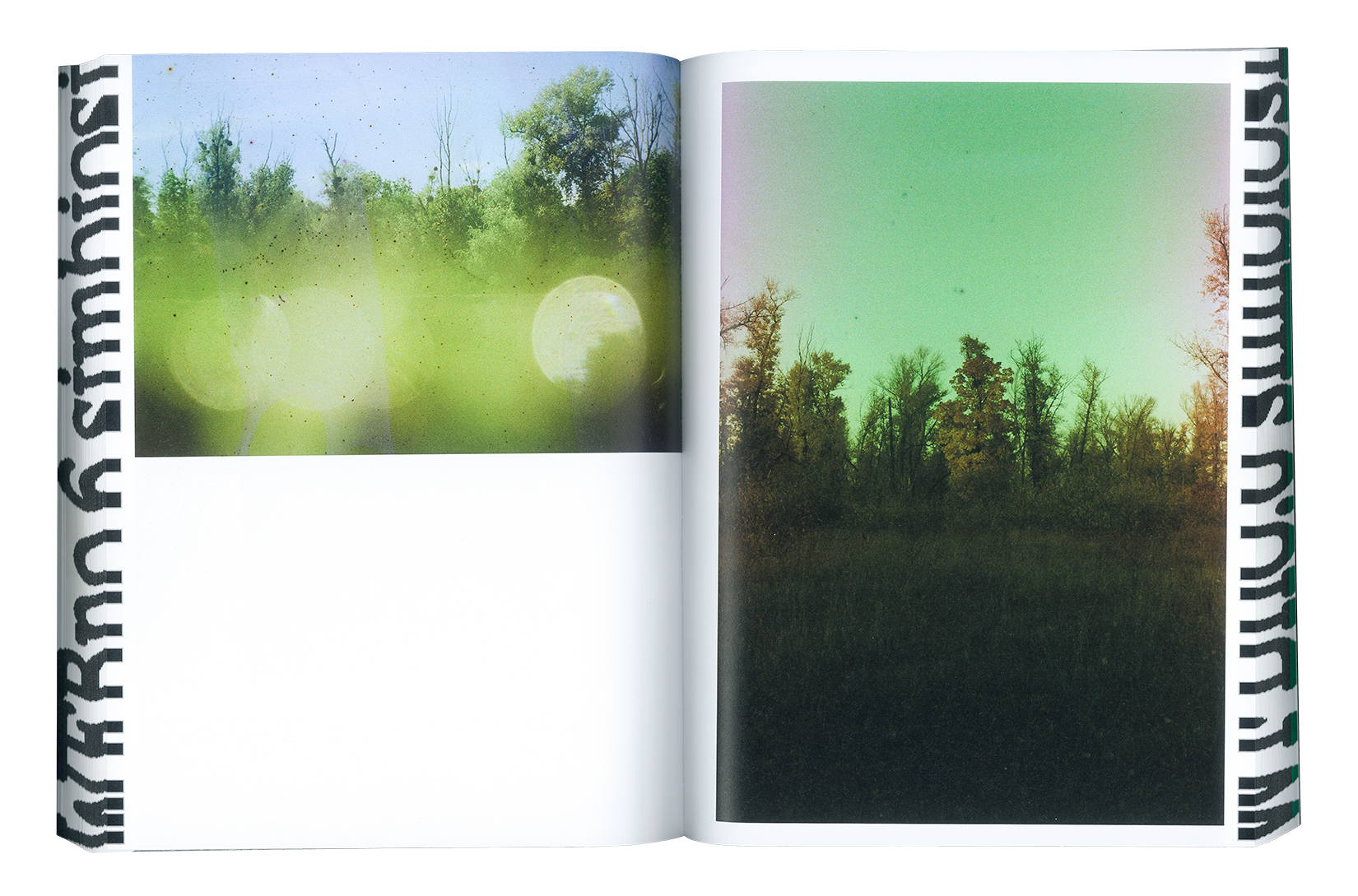 Where Flowers Bloom N.6