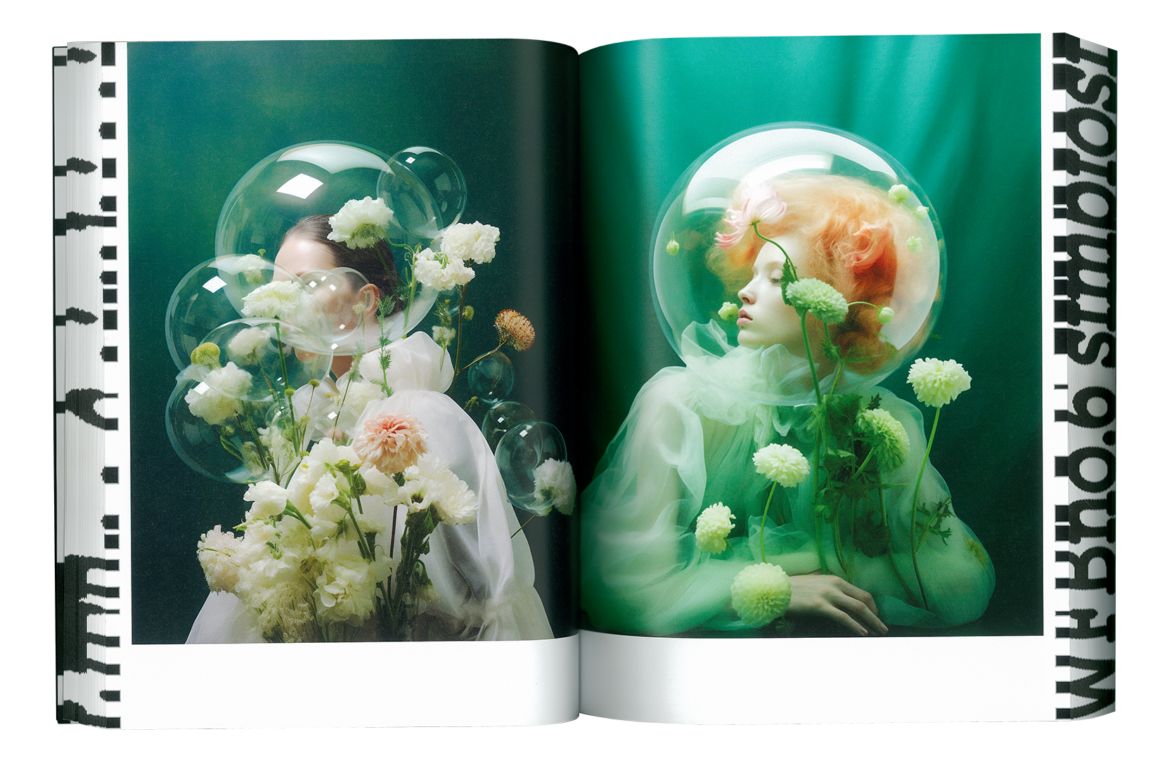 Where Flowers Bloom N.6
