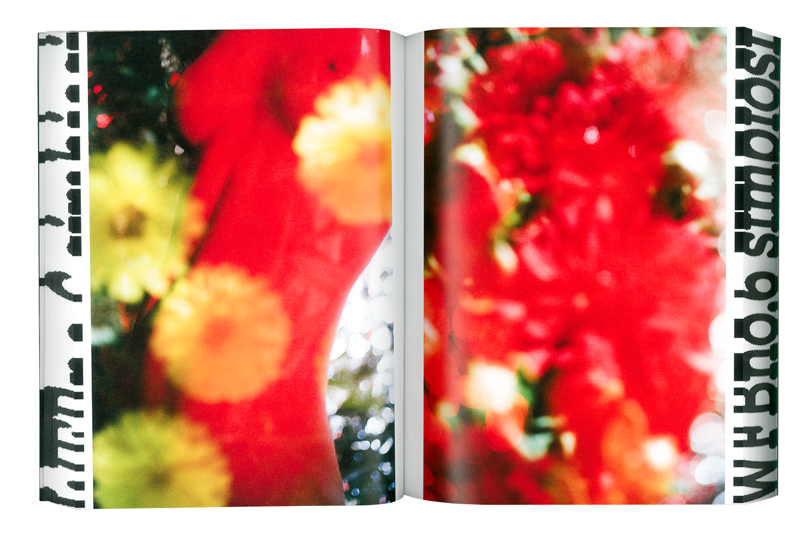 Where Flowers Bloom N.6